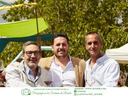 Festival Mar de Tethys 2026 - Bodega Vetas